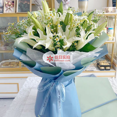 三门峡8支白色多头百合洋甘菊，互倾的思念
