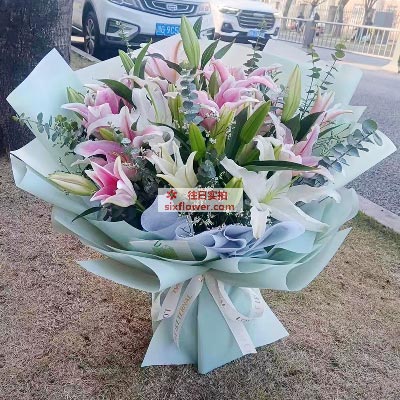 三门峡8支百合混搭，有你的日子很美好