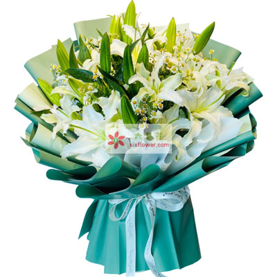 三门峡8支白色多头百合洋甘菊，如潮的思念