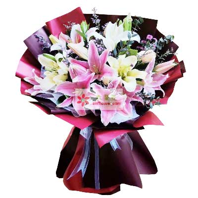 三门峡8支百合花，天天开心