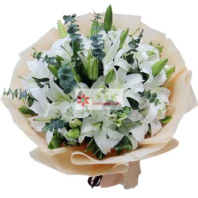 三门峡9支白色多头百合，祝福你幸福